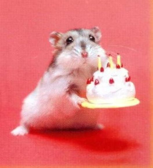 FELÍZ DÍA INMA!