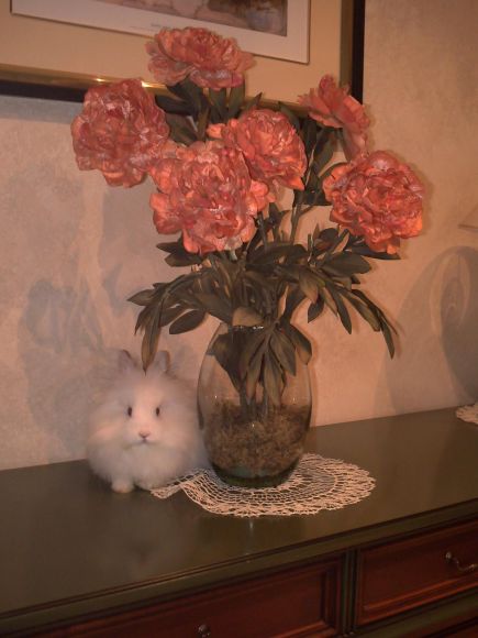 Posando con las flores :)