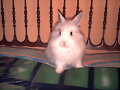 Teddy (Septiembre 2008)
