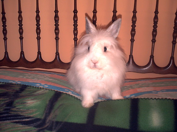 Teddy (Septiembre 2008)