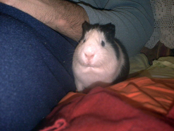 Coby es su salsa jiji