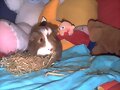 A que salgo wapooo