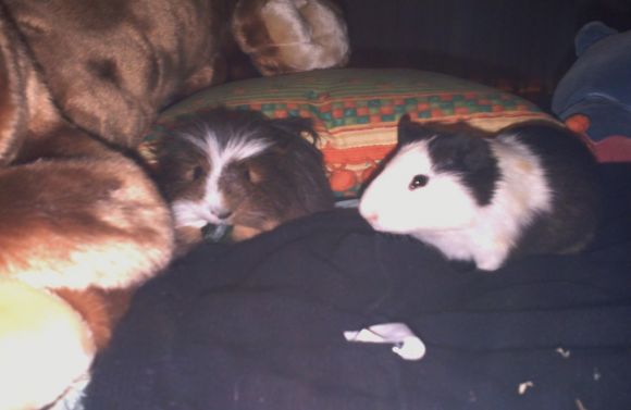 Que pillo eres Coby!