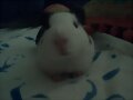A que soy wapo??