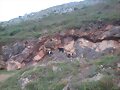 Cabras - Pico El Arbol&iacute;n