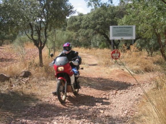 Camino de Piedras
