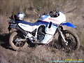 &iquest;Trail o Halterofilia? - 4
