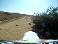 Un conejo cruzando el camino