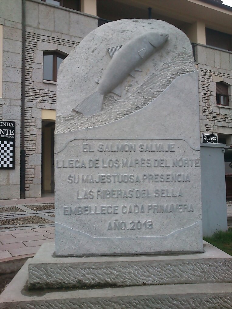 El salmón