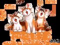 FELIZ CUMPLE CATY !!!