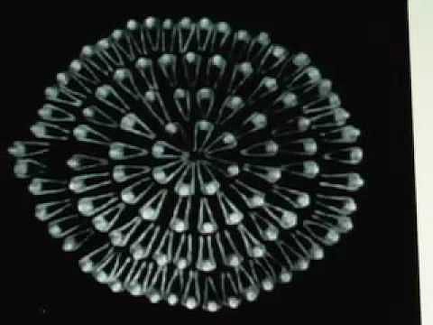 MGMT   &quot;Kids&quot;