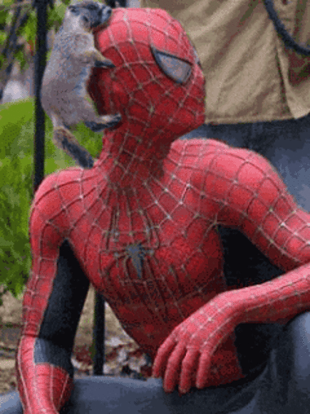spiderman!
