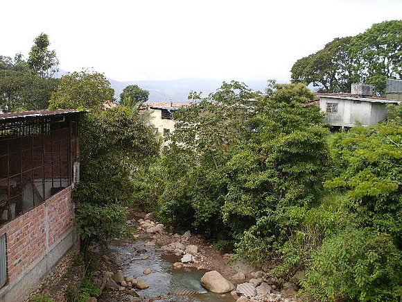 La bermeja Edo Tachira