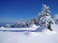 Asturias, concellu de Lena