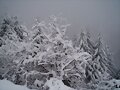 Asturias 2006