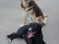 Telma y Frida