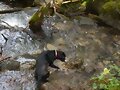 Frida se da un ba&ntilde;ito