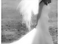 Angel del cielo