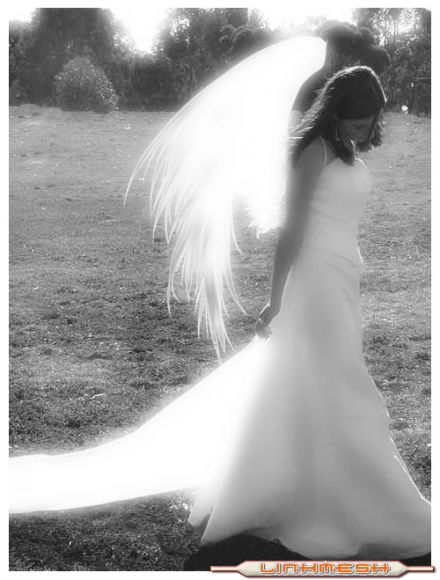 Angel del cielo