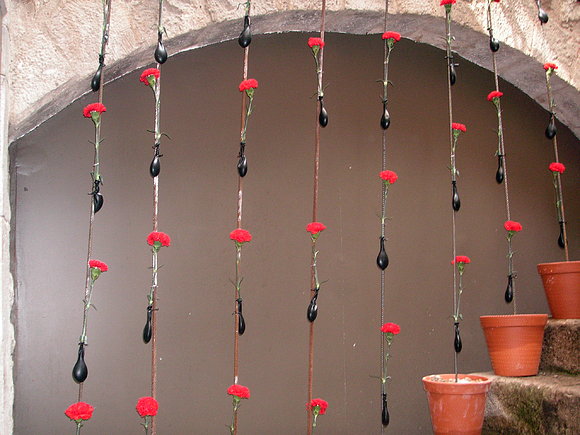 Más flores !!!!!!!!!!!