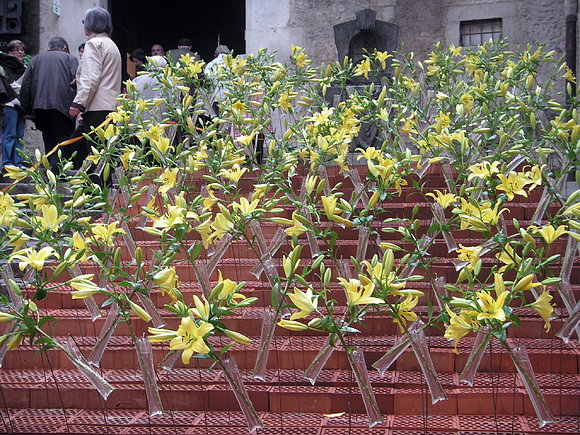 Más flores !!!!!!!!!!!