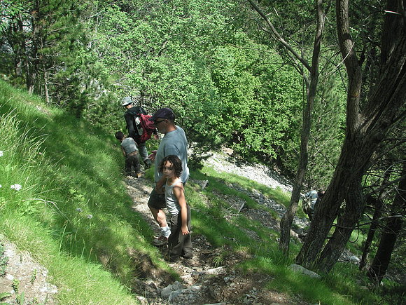 Empieza un largo descenso.....