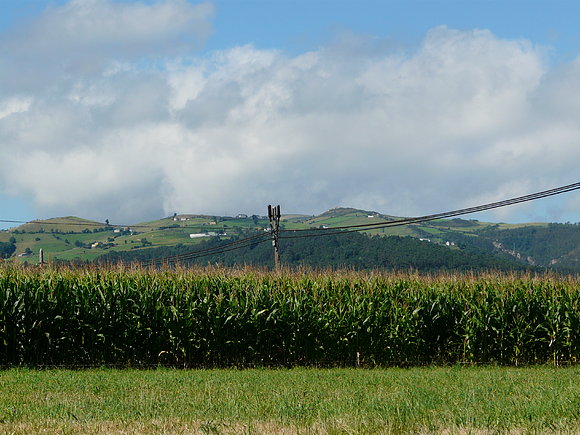 De paseo por los alrededores de Luarca.