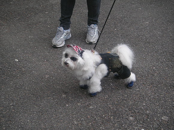 Modelito de fiesta!!!!!!!!!!!!!!!