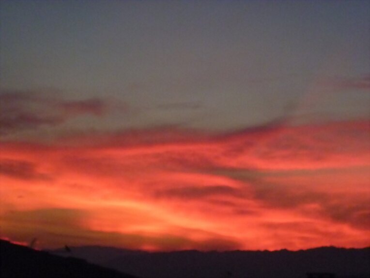 Y al llegar a casa ...