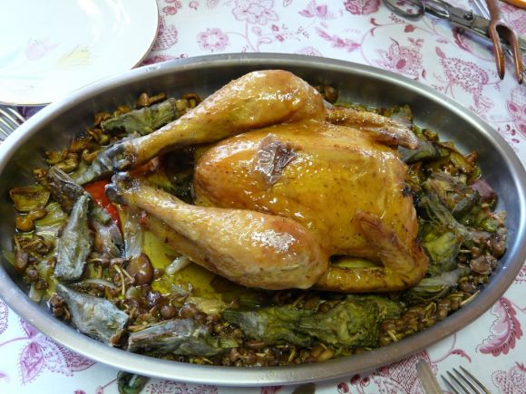 pollo de casa
