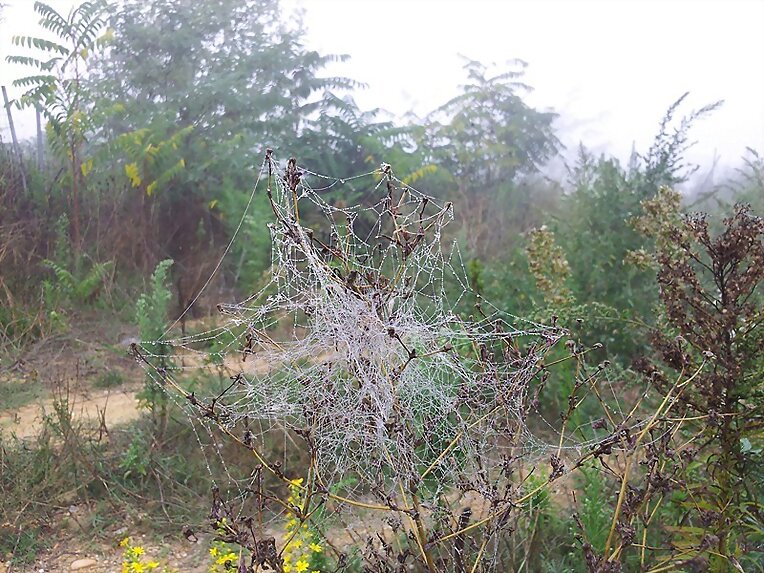 La naturaleza...