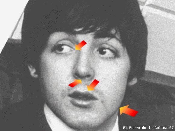 Paul is dead?