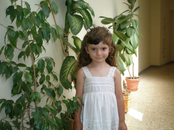 En verano de 2006