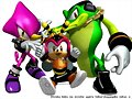 Team Chaotix : Detectives defectuosos