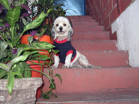 Mi niña Yuyi!!!