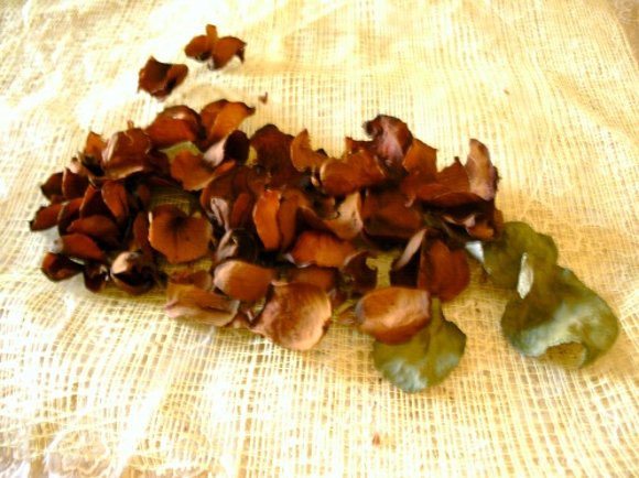 Se deshojan las rosas con cuidado