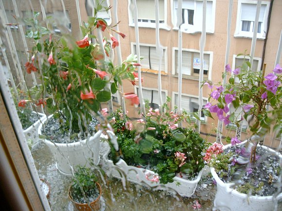El dia de la granizada