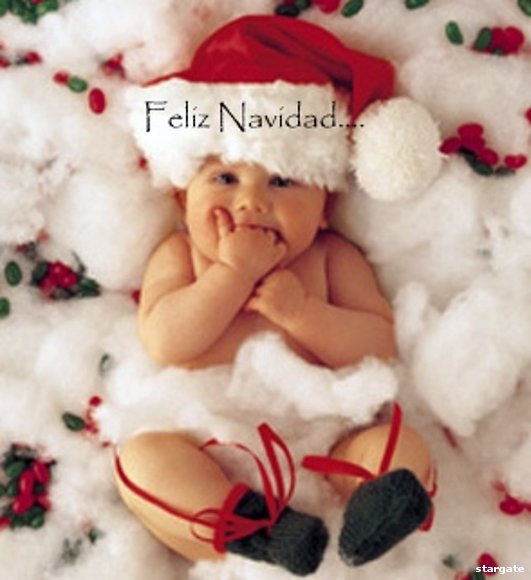 Navidad majestuosa
