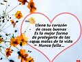 para todos mis amigos que no dejaron de seguirme