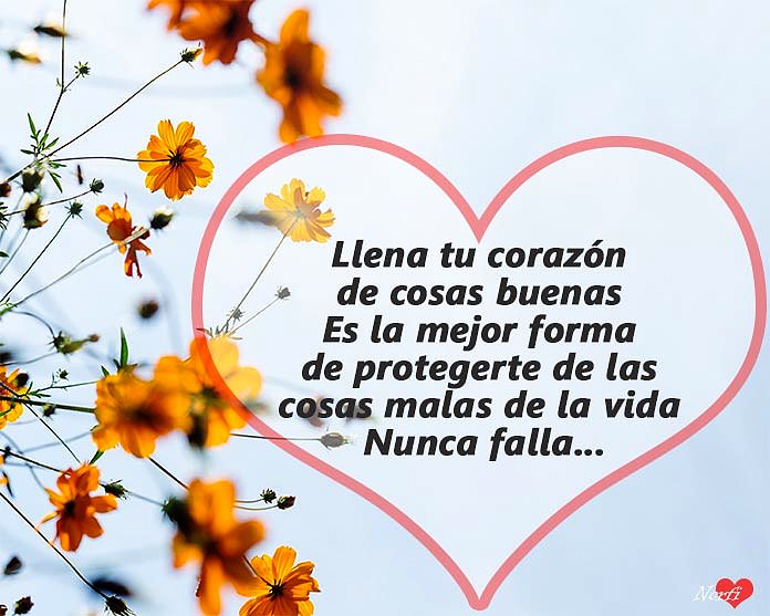 para todos mis amigos que no dejaron de seguirme