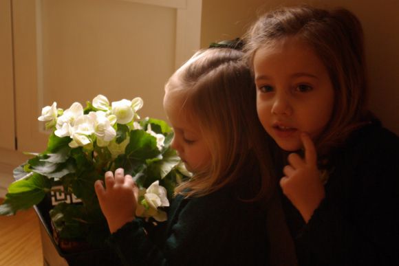 Las hermanas "mayores"