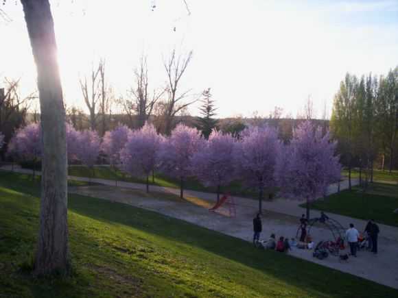 Los "pisardis" del Pisuerga