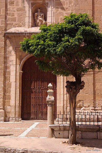 Portada lateral