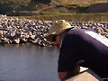 Asomado a la mar