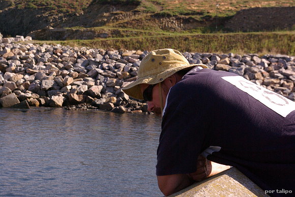 Asomado a la mar