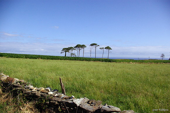 "Praus" asturianos