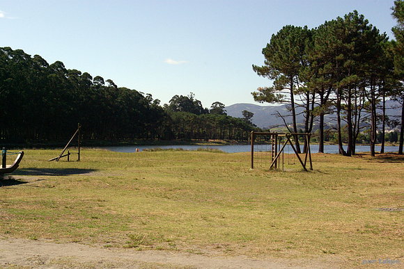 Los pinares de la playa de Navia