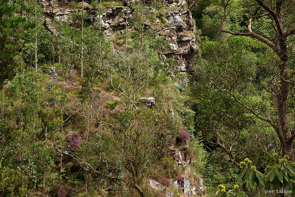¿El dolmen?