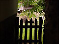 Portilla
