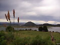 Montehano
